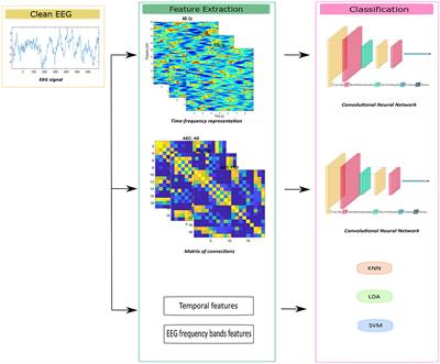 Using shallow neural networks with functional connectivity from EEG signals for early diagnosis of Alzheimer's and frontotemporal dementia